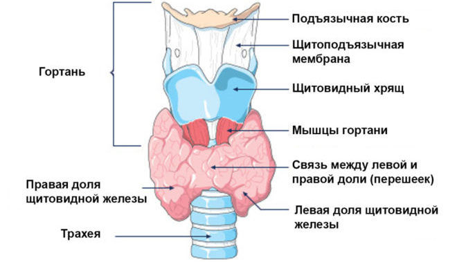 zheleza